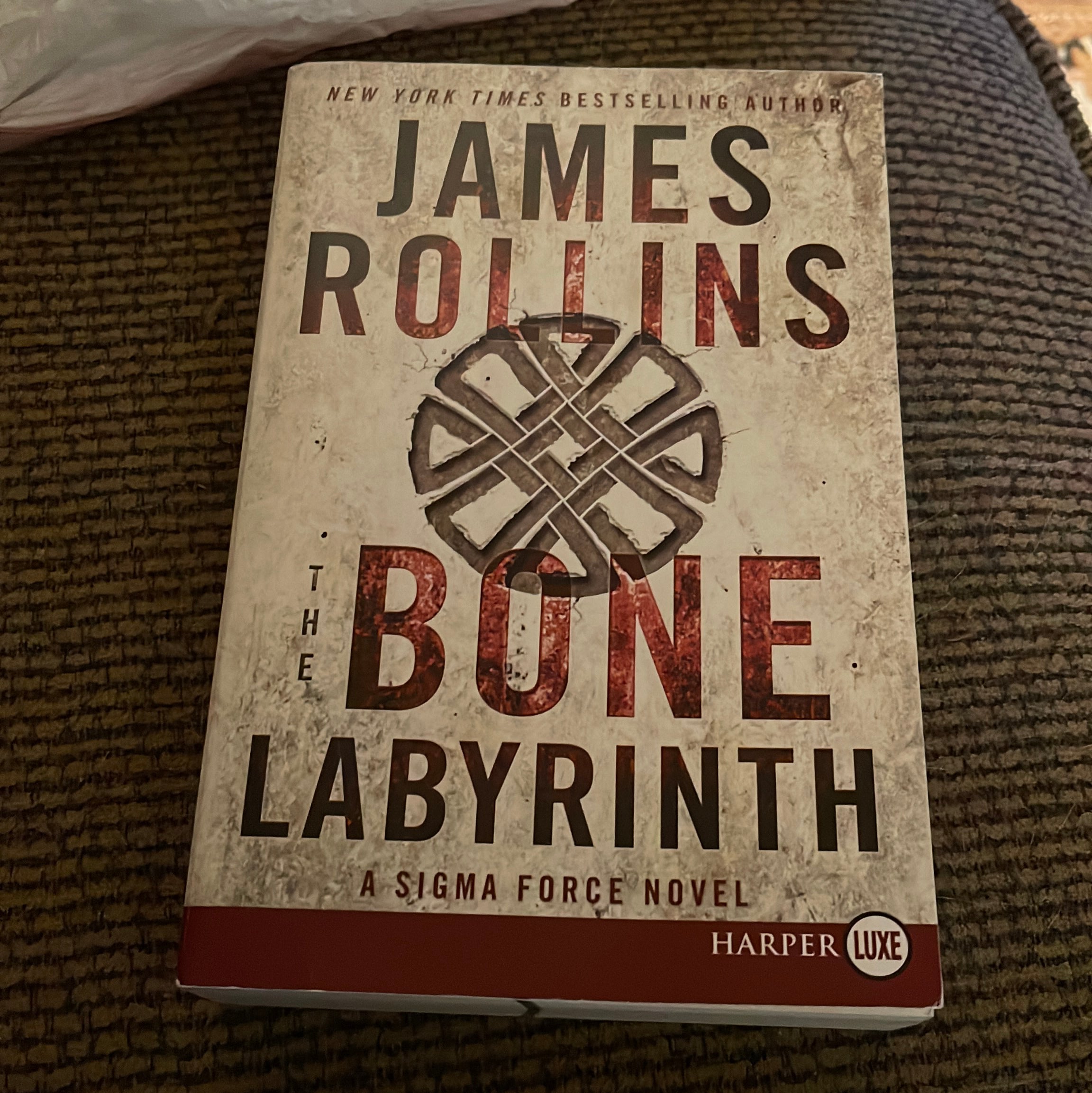 The Bone Labyrinth Large Print