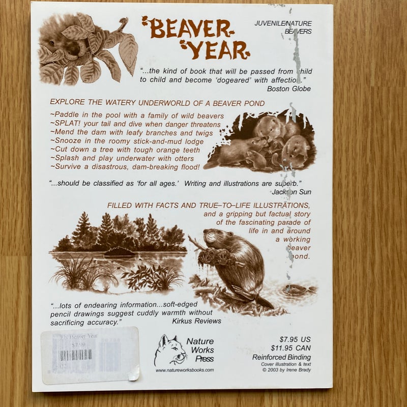 Beaver year