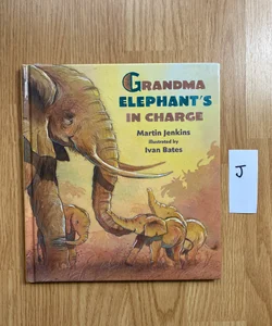 Grandma Elephant's in Charge