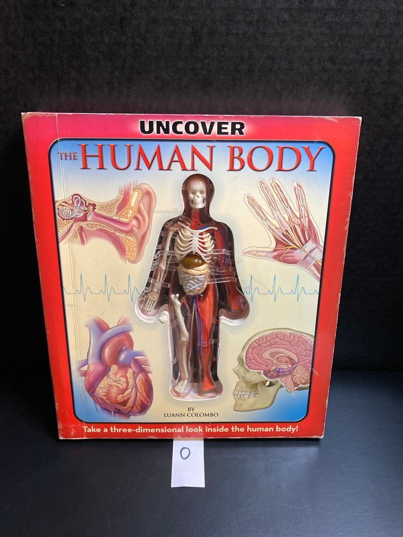 The Human Body