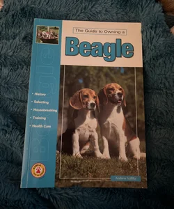 Guide to Owning a Beagle