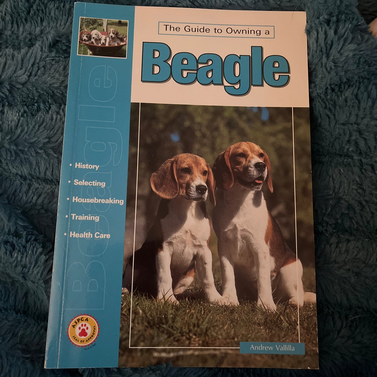Guide to Owning a Beagle