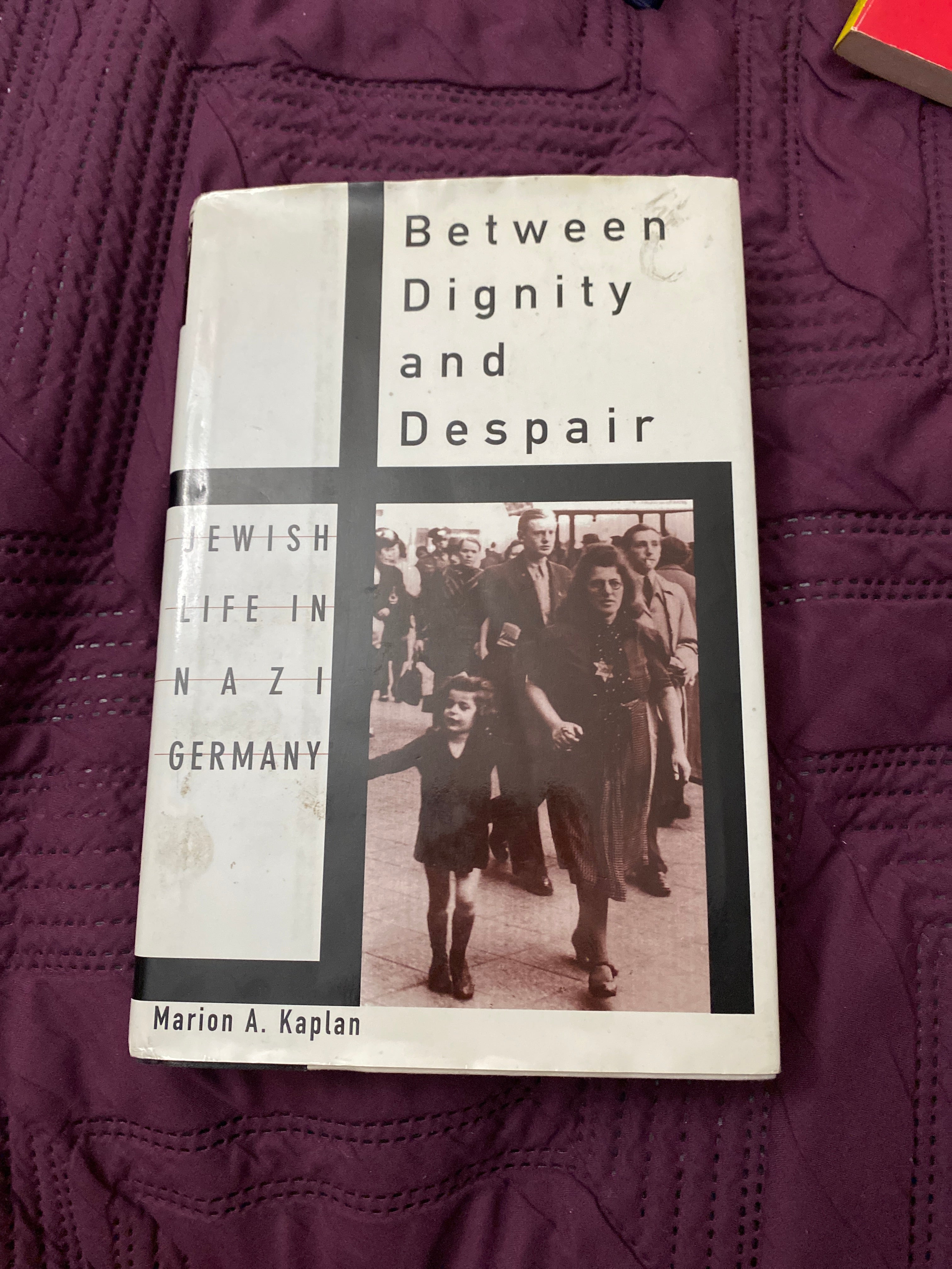 Between Dignity and Despair