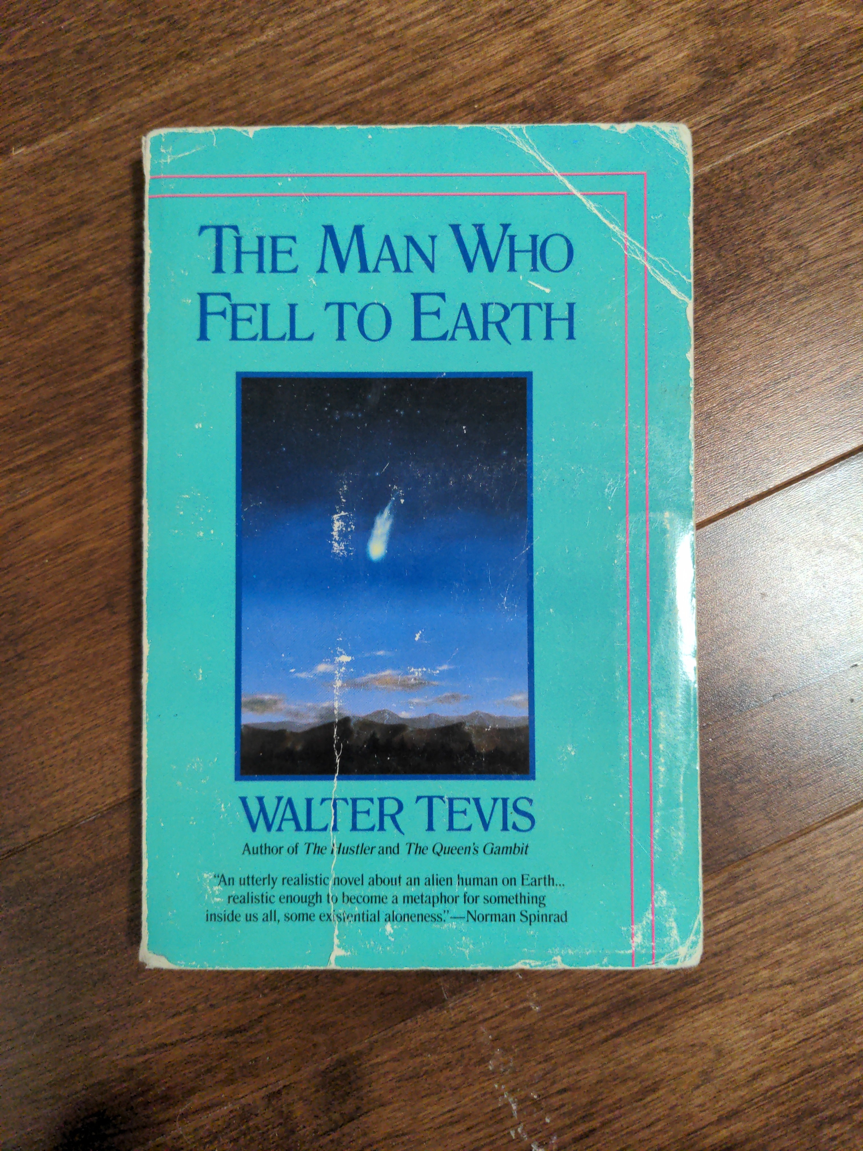 The Man Who Fell to Earth