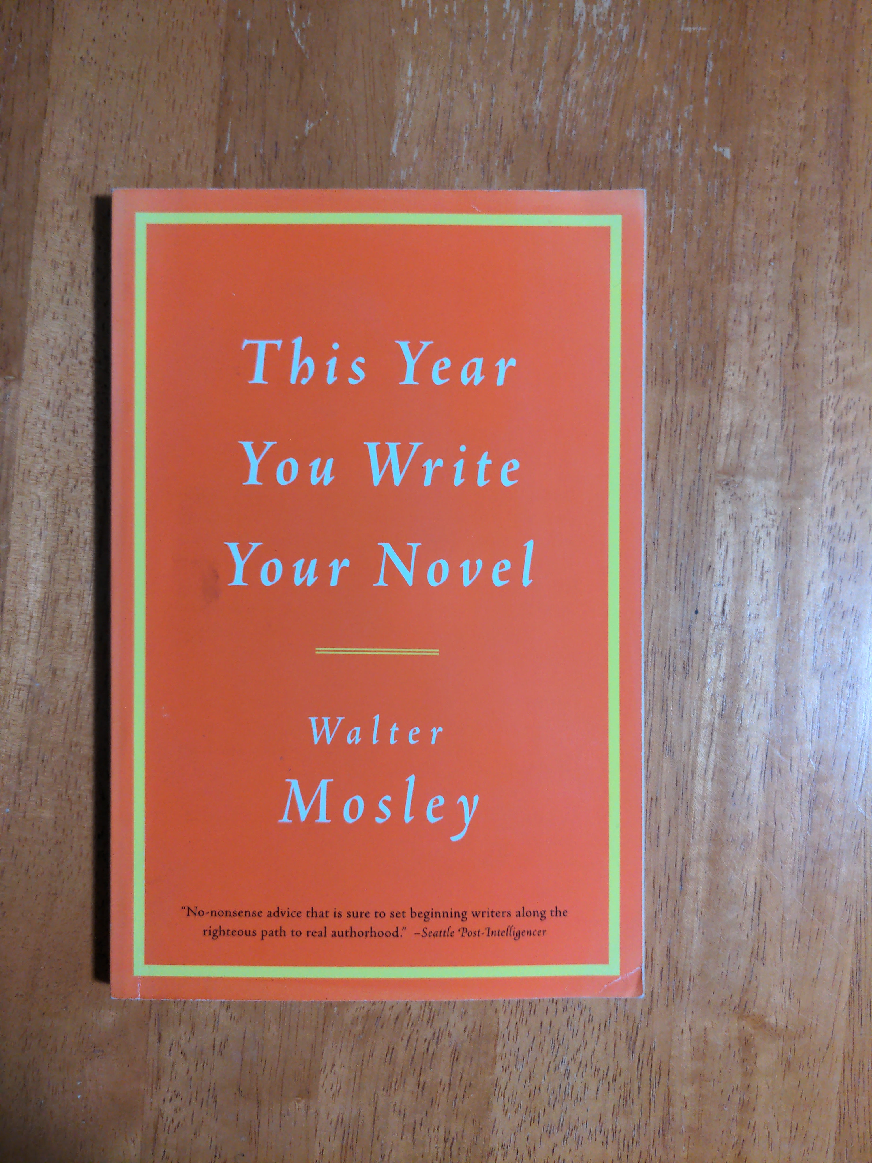 This Year You Write Your Novel