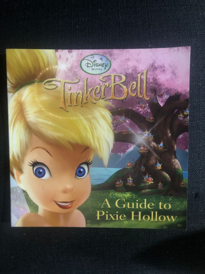 A Guide to Pixie Hollow