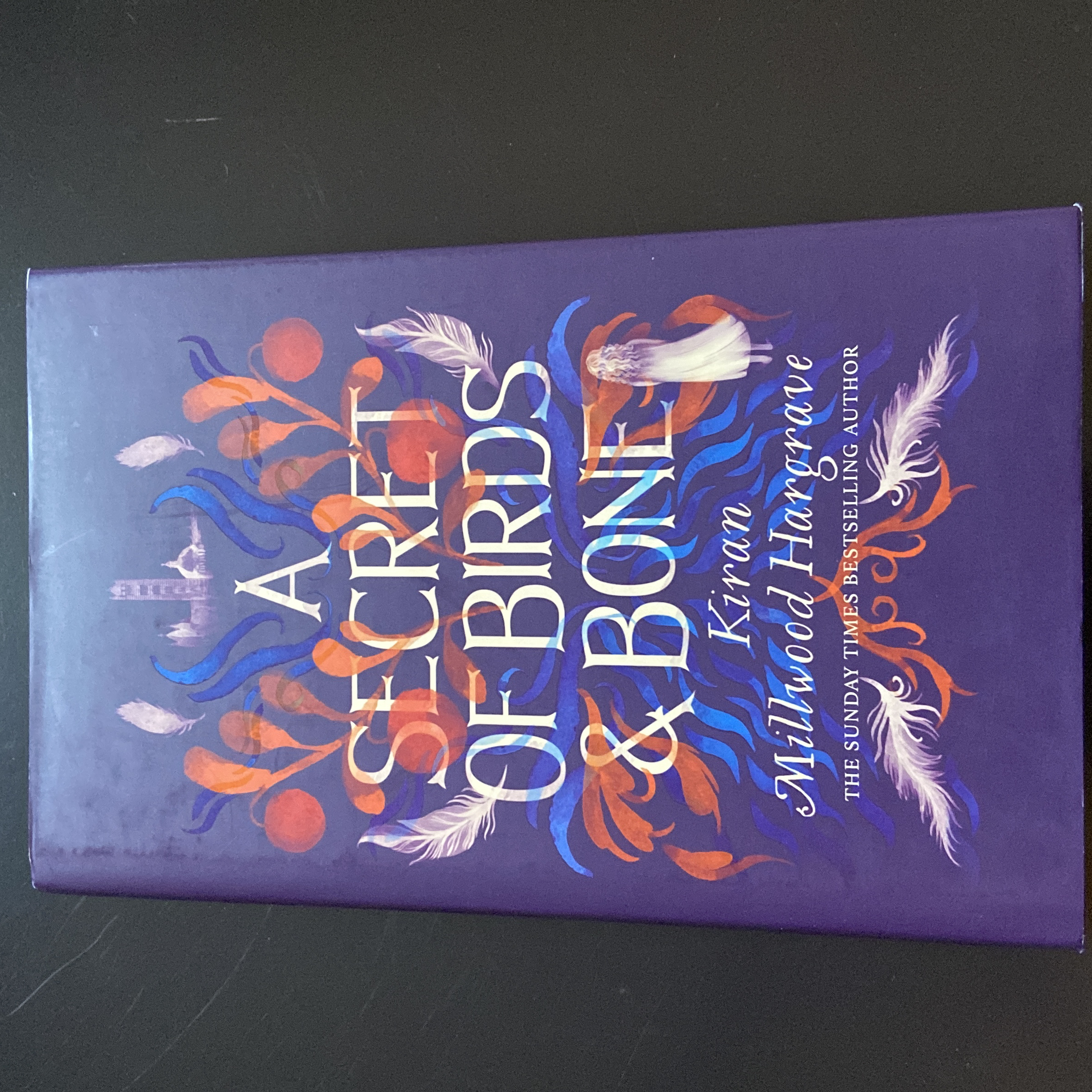 A Secret of Birds and Bone