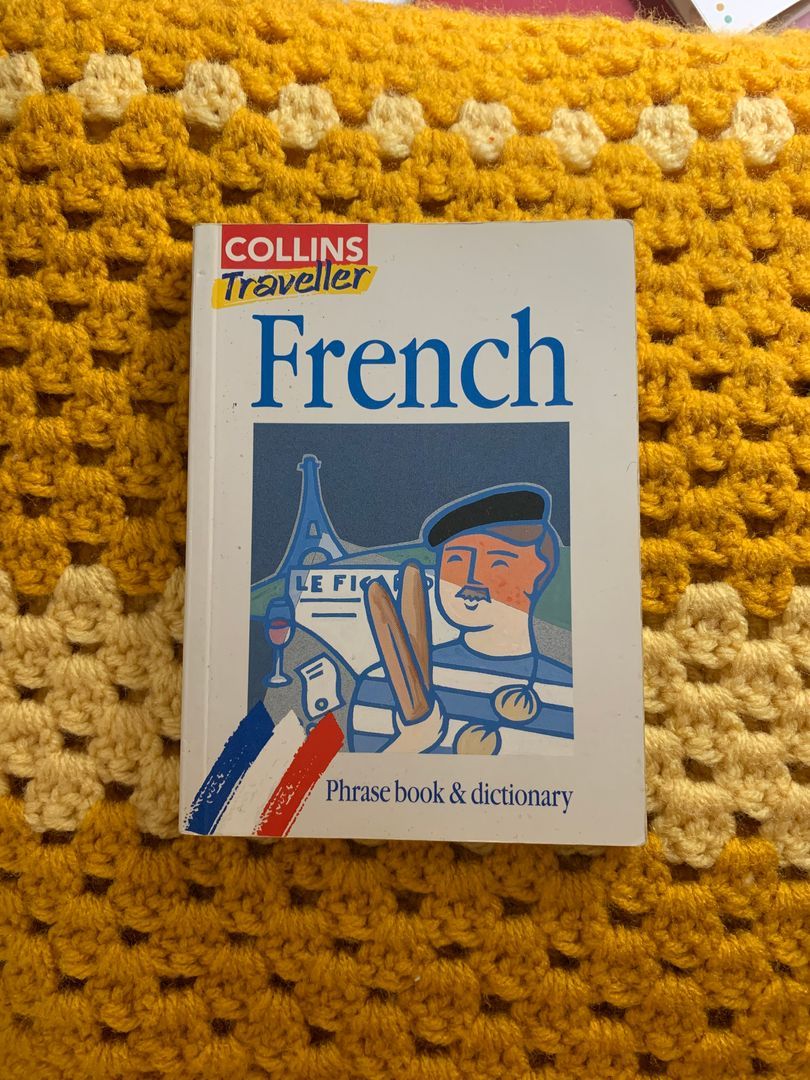 French Travel Phrase and Dictionary