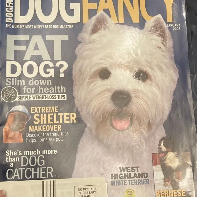 Dog Fancy Magazine (Jan 2008)