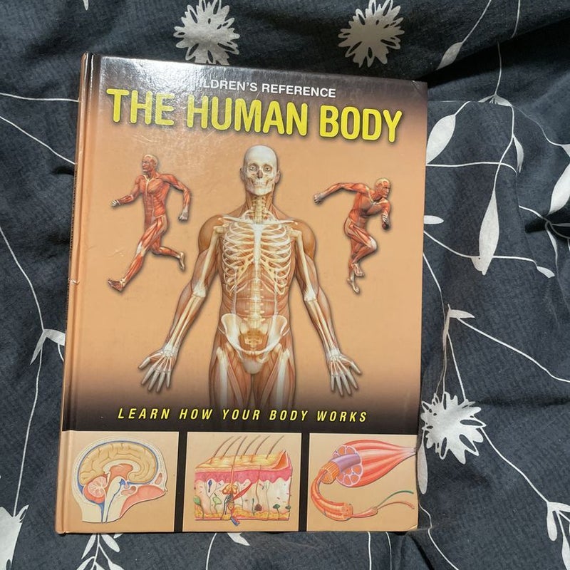 The human body 