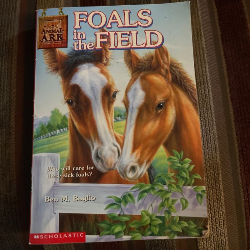 Foals in the Field