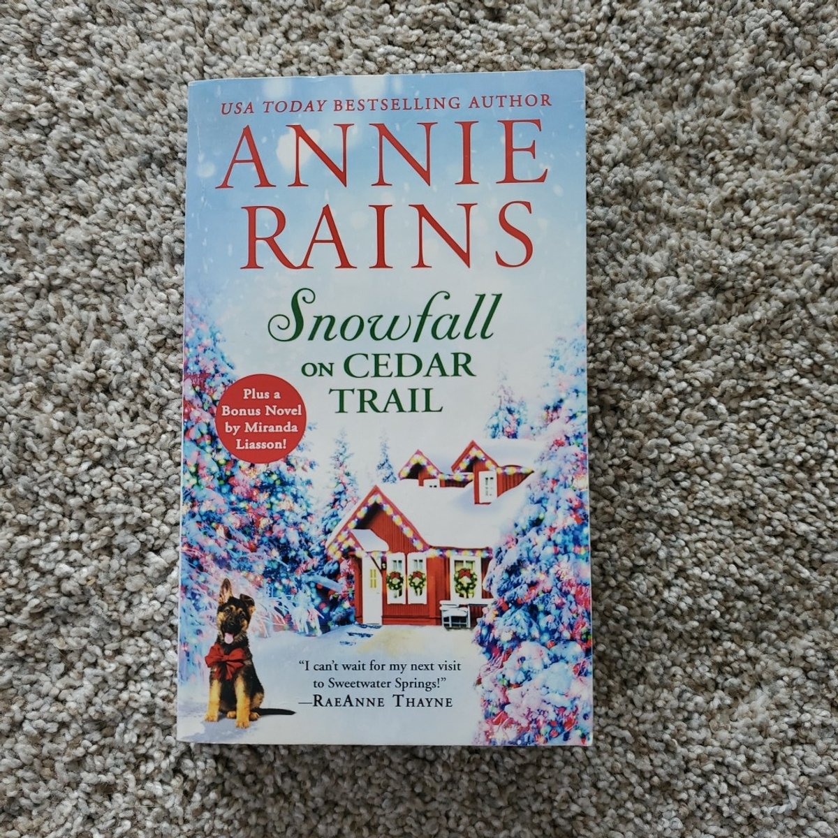 Snowfall on Cedar Trail by Annie Rains