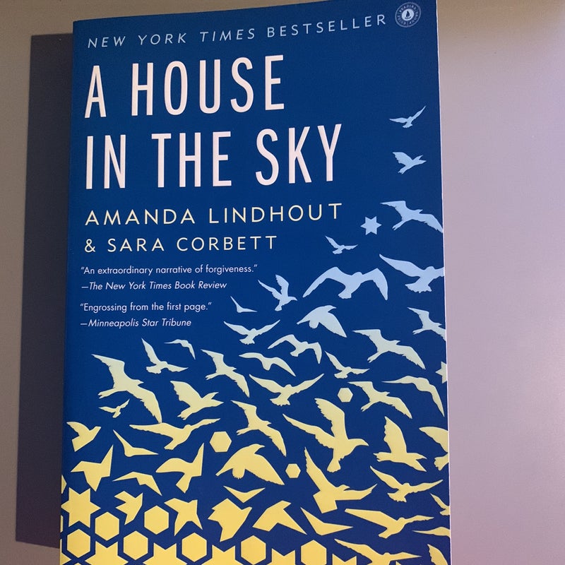 A House in the Sky