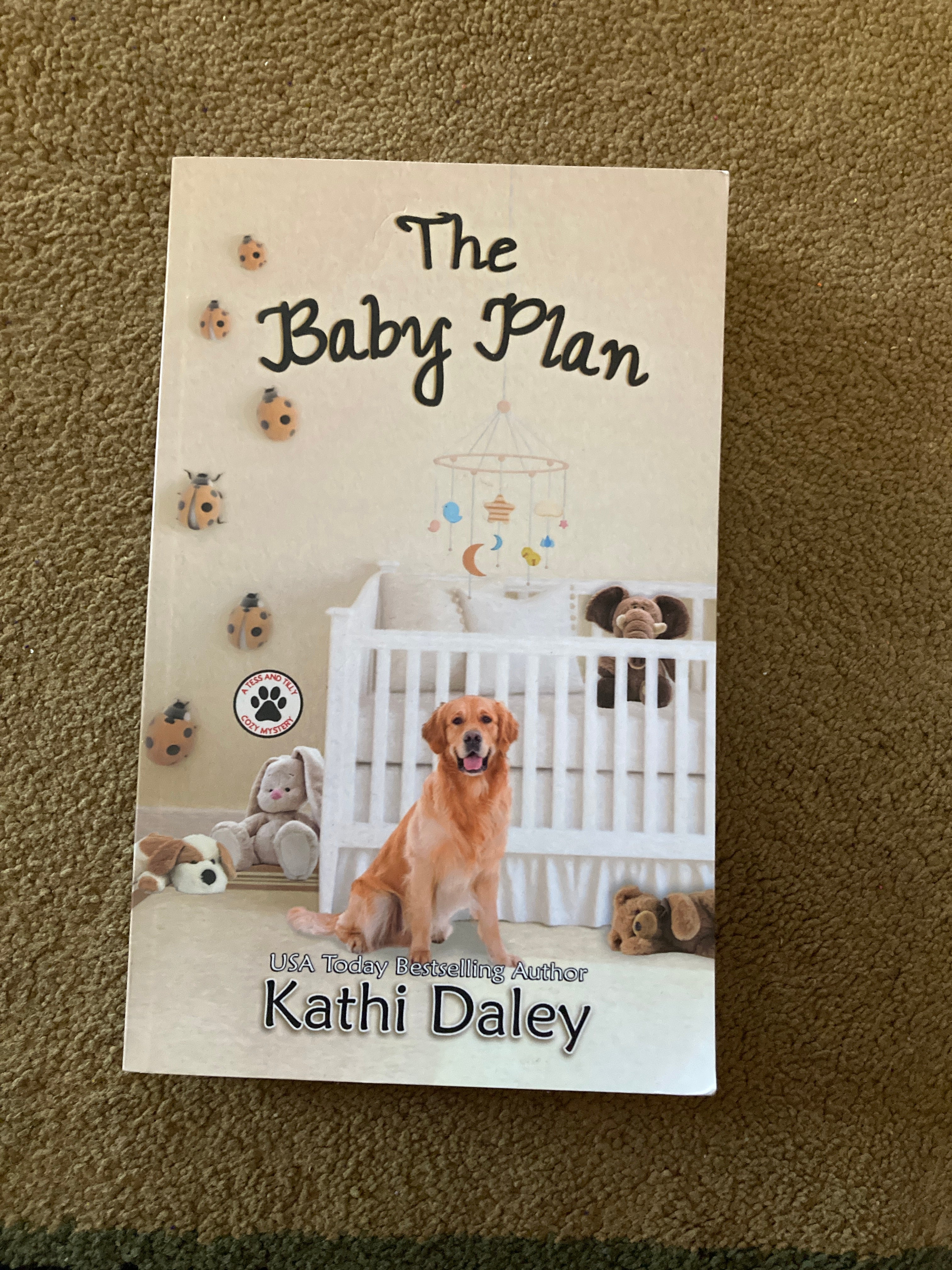 The Baby Plan: a Cozy Mystery