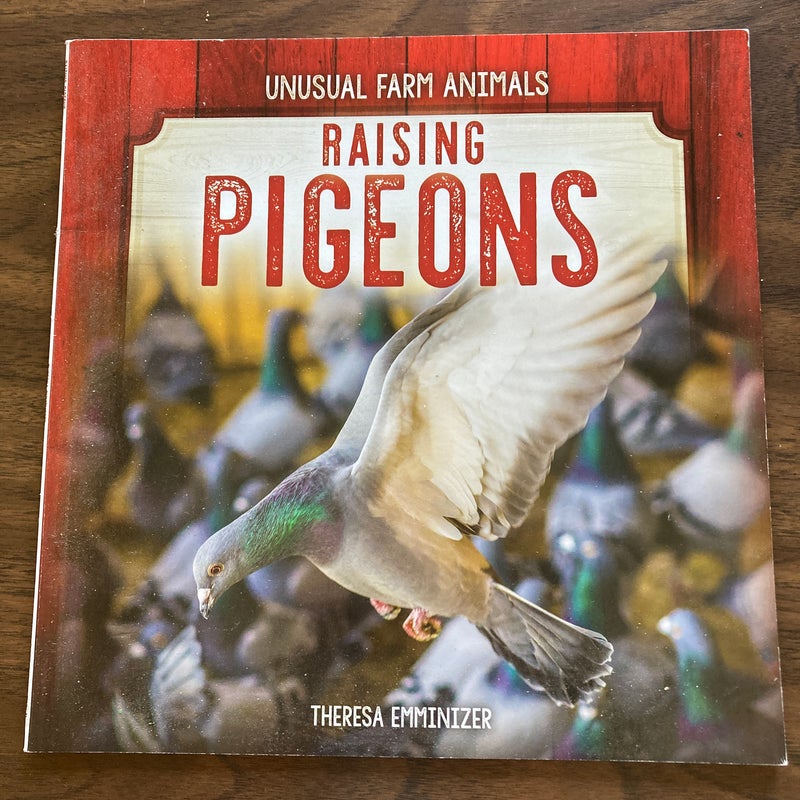 Raising Pigeons