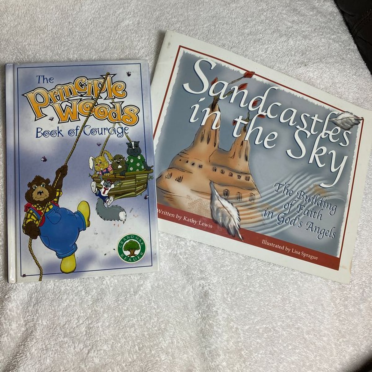 The Principle Woods Book of Courage& Sandcastles in the Sky#63 by ...