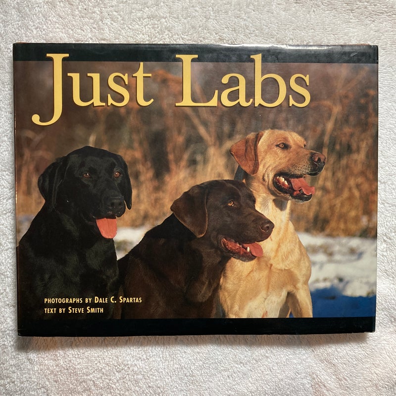 Just Labs #4