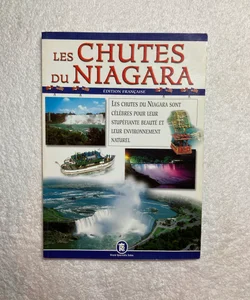 The Niagara Falls #8