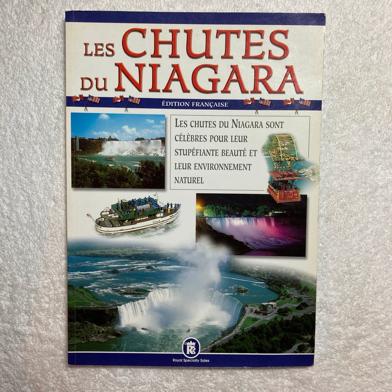 The Niagara Falls #8