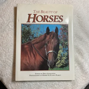 Beauty of Horses