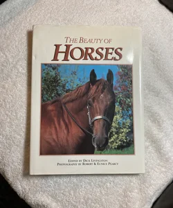 Beauty of Horses #4