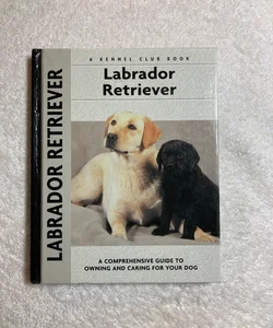 Labrador Retriever #4