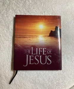 Life of Jesus #20