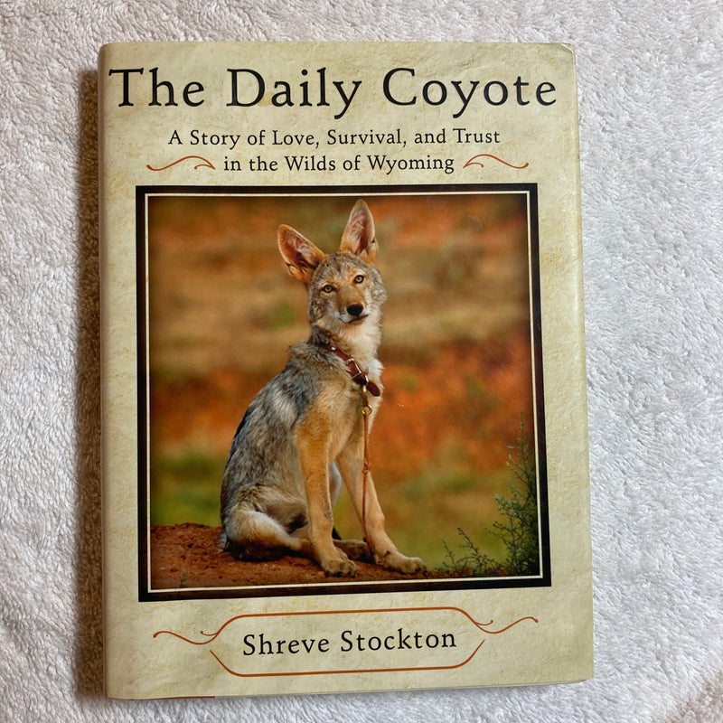 The Daily Coyote #22