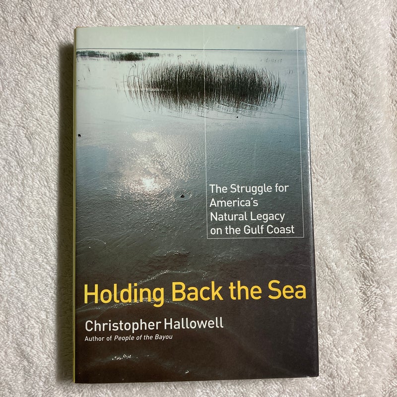 Holding Back the Sea