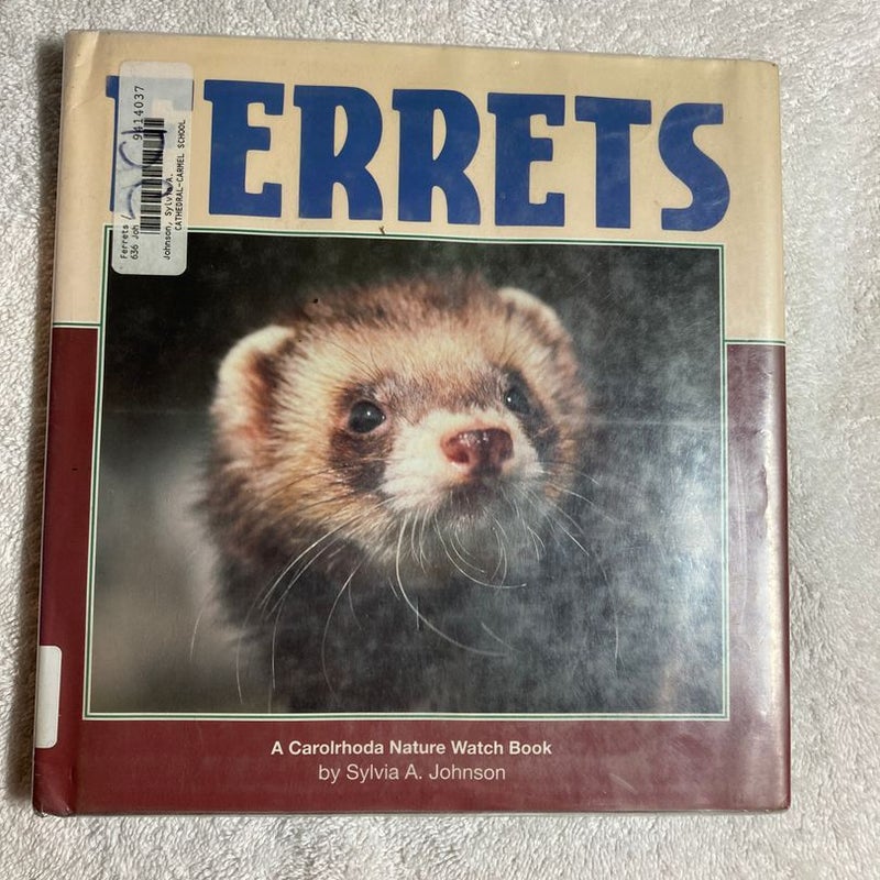 Ferrets