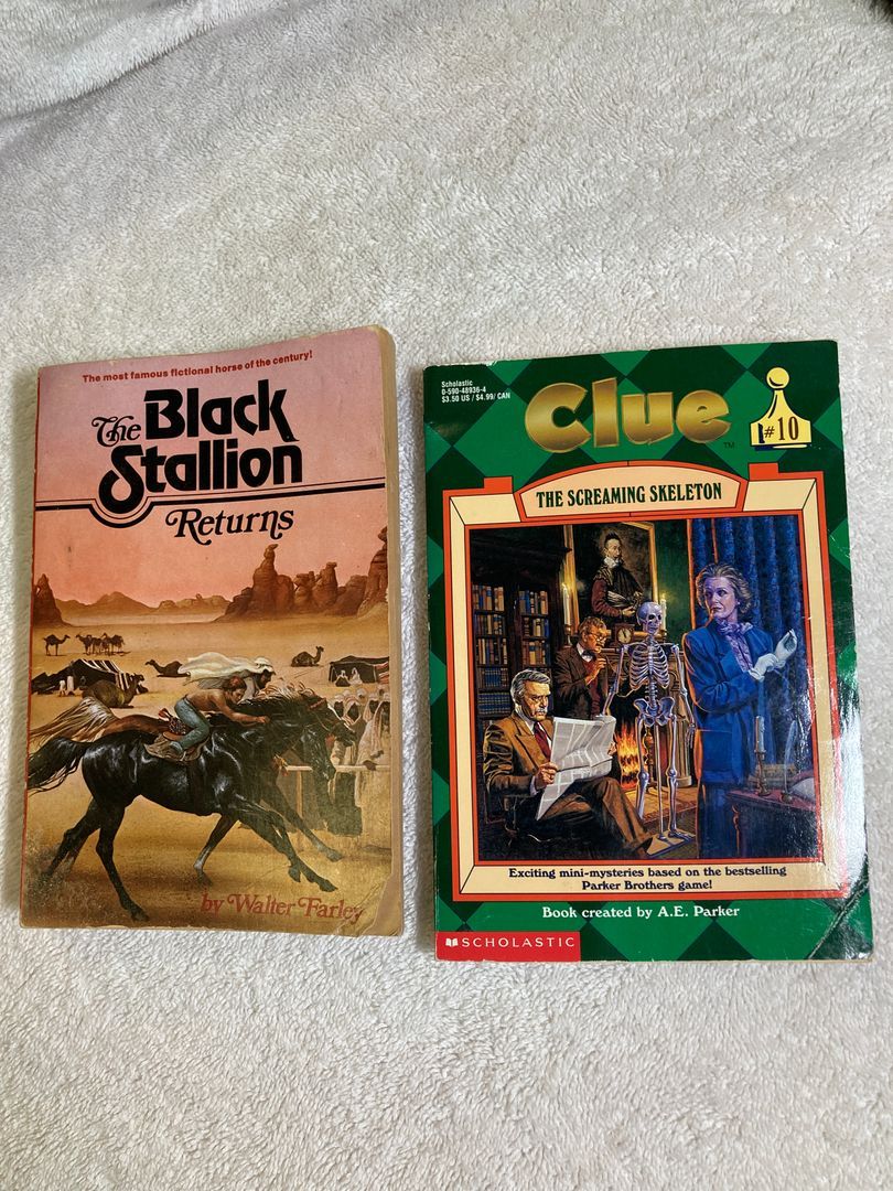 The Black Stallion Returns