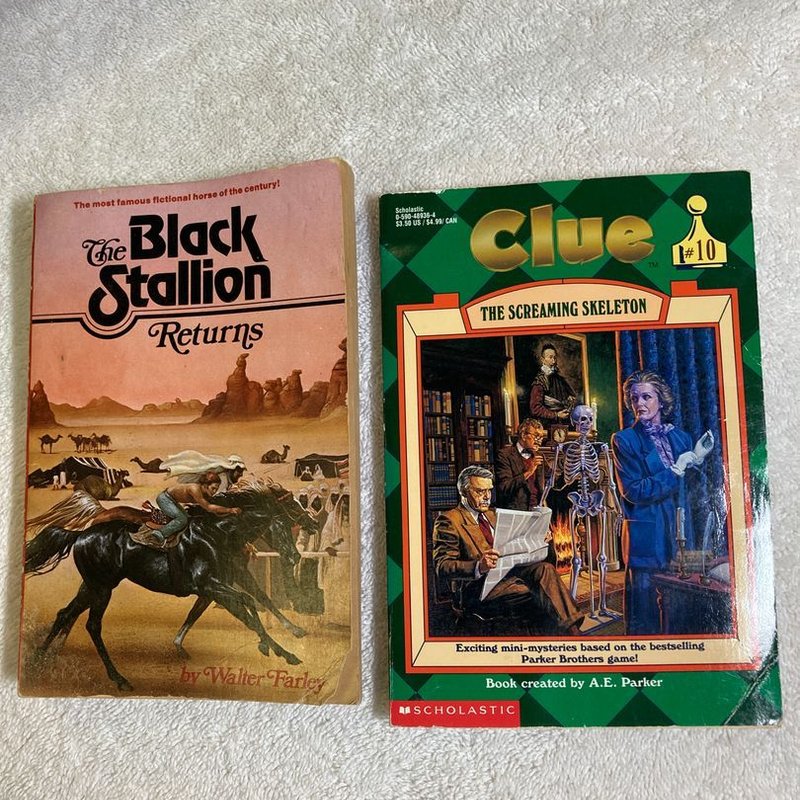 The Black Stallion Returns