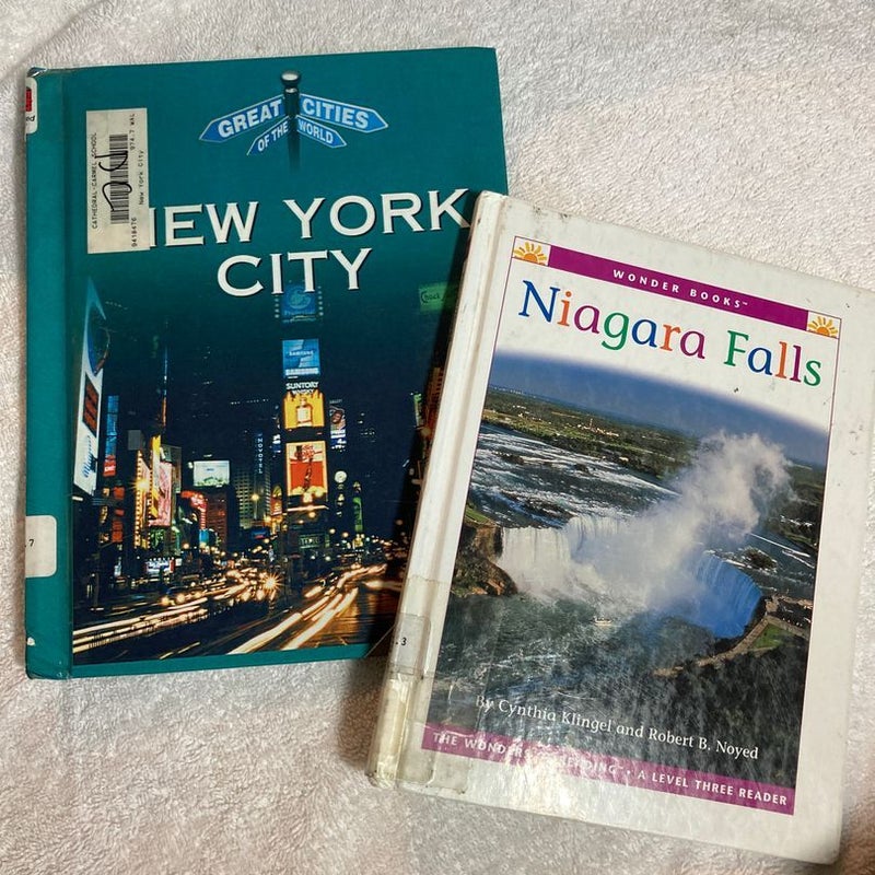Niagara Falls & New York City #54