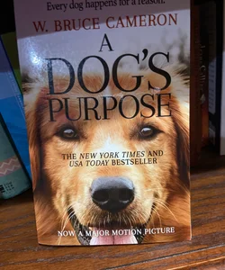 A dog’s purpose no hi