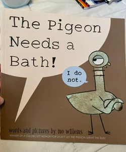 The pigeon needs a bath