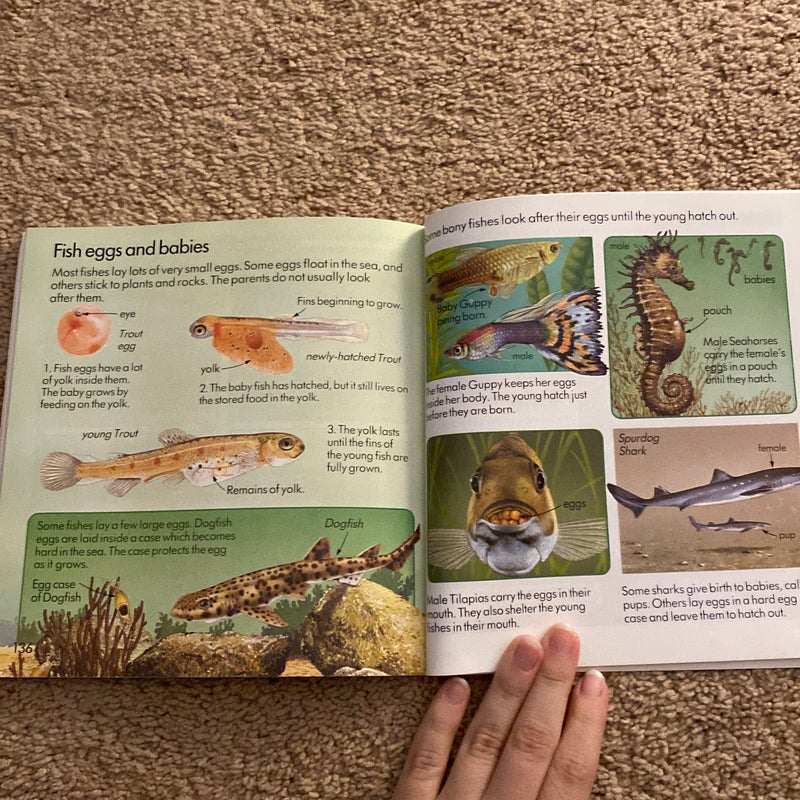 First Book of Nature