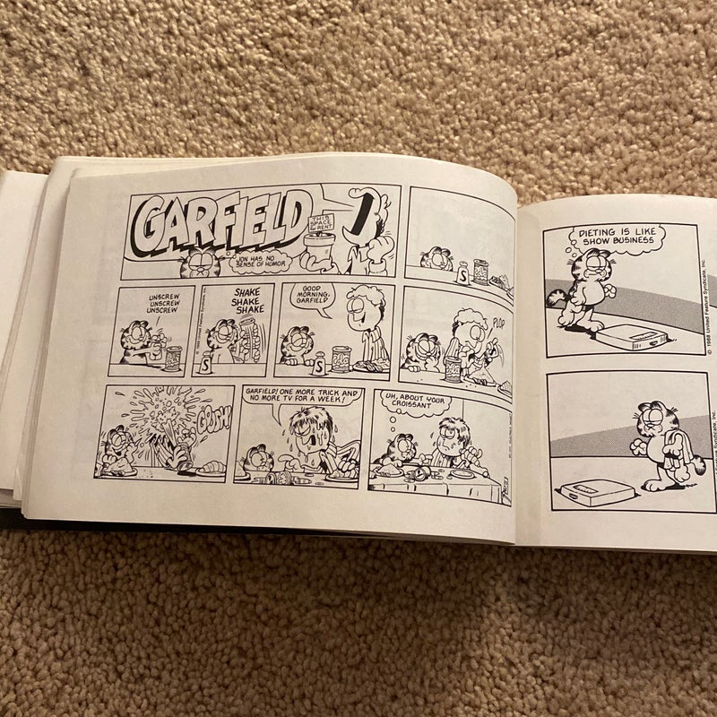 Garfield Goes to Waist