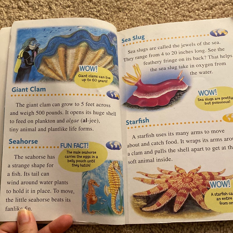 Incredible Sea Creatures
