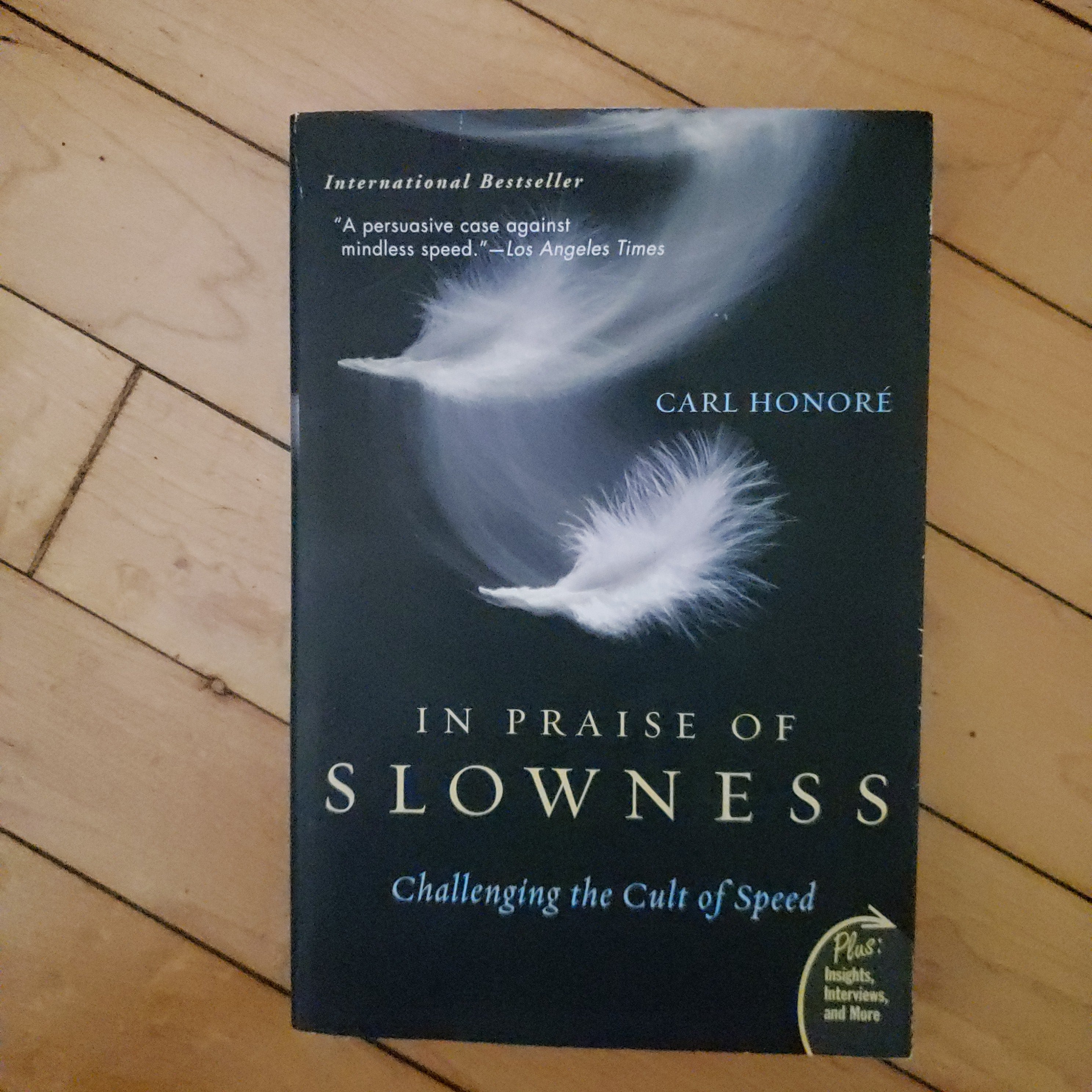 In Praise of Slowness