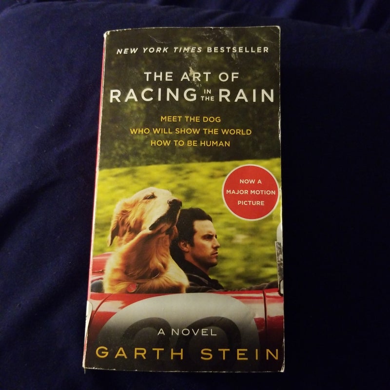 Art of Racing in the Rain Movie Tie-In Edition