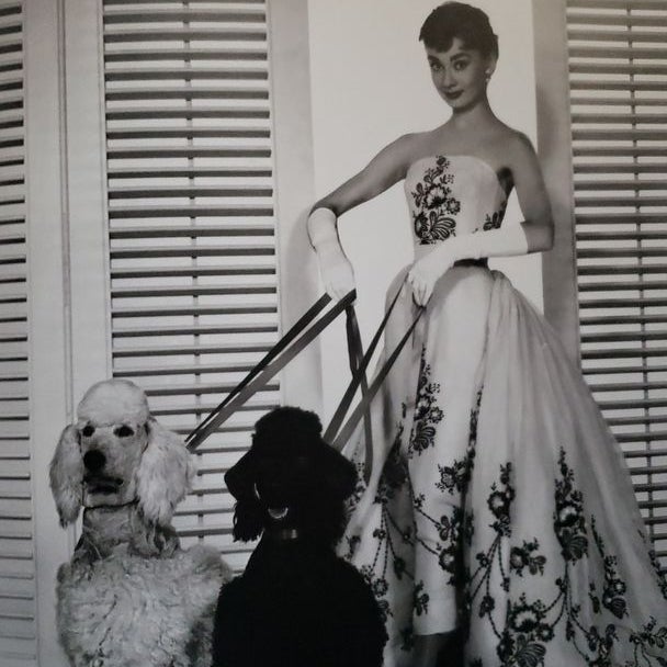 The Golden Age of Couture
