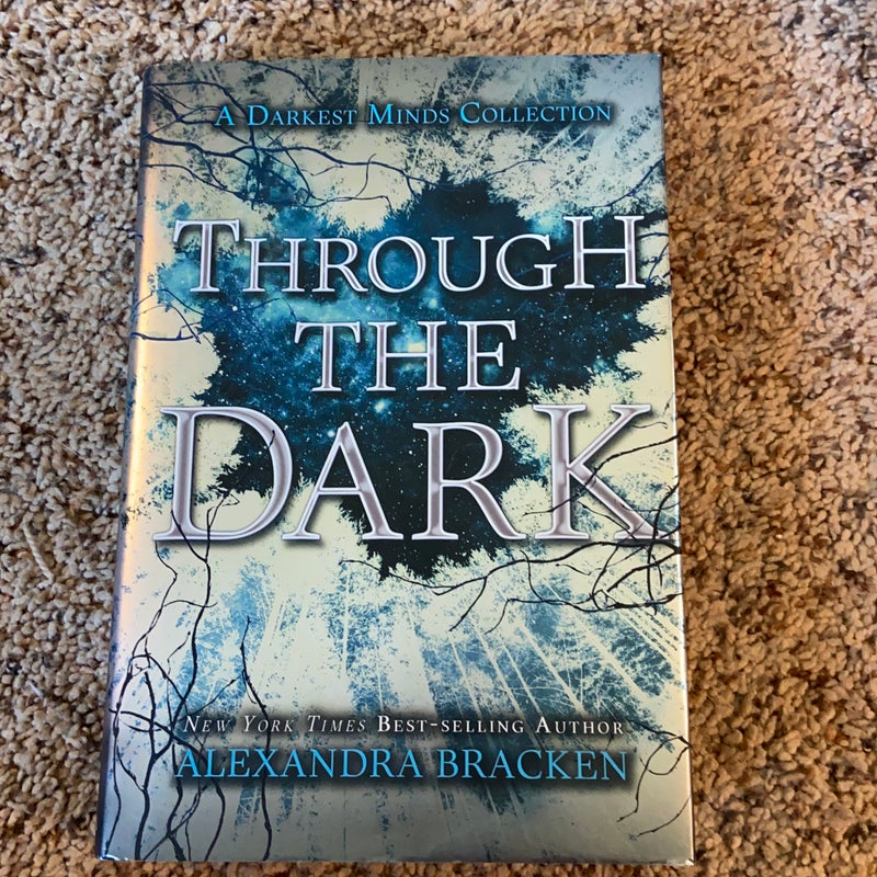 Through the Dark (A Darkest Minds Collection)