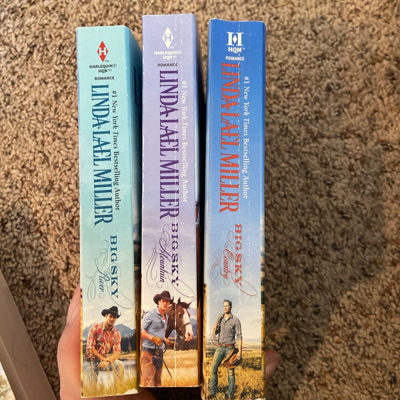 Parable Montana novels