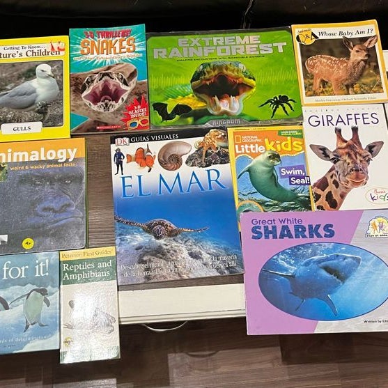 15 Books all about animal for kids !!