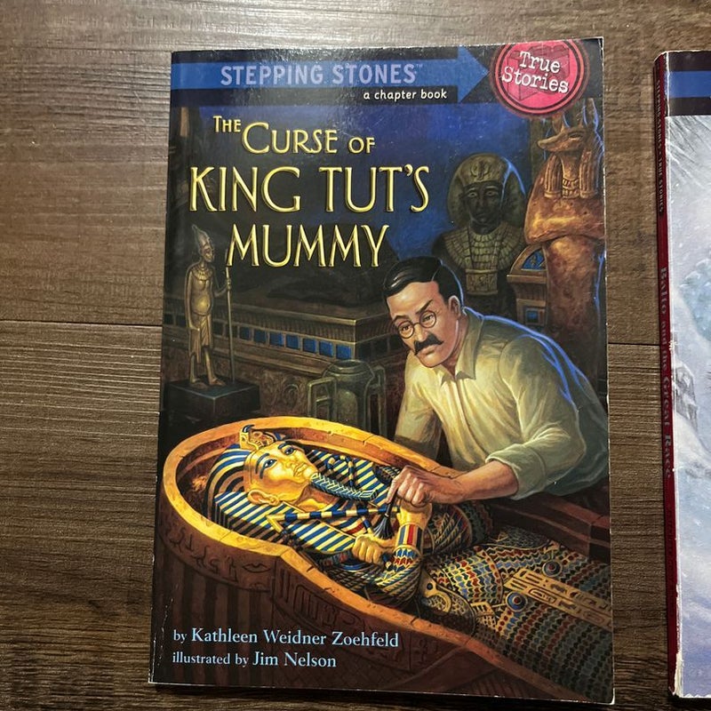 2 Books 📚 Stepping Stones. True Stories