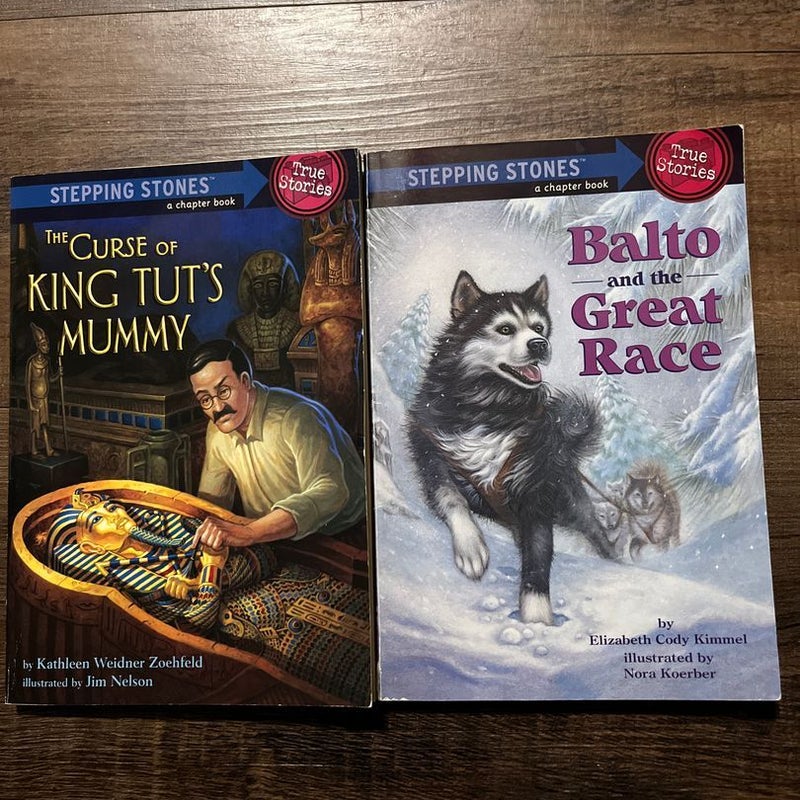 2 Books 📚 Stepping Stones. True Stories