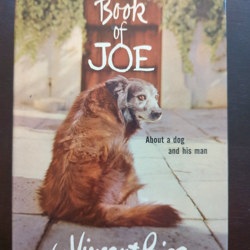 The Book Of Joe