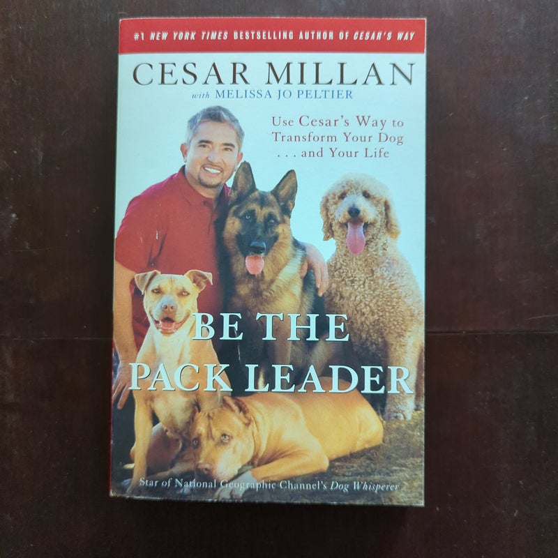 Cesar Milan Bundle (4 books)
