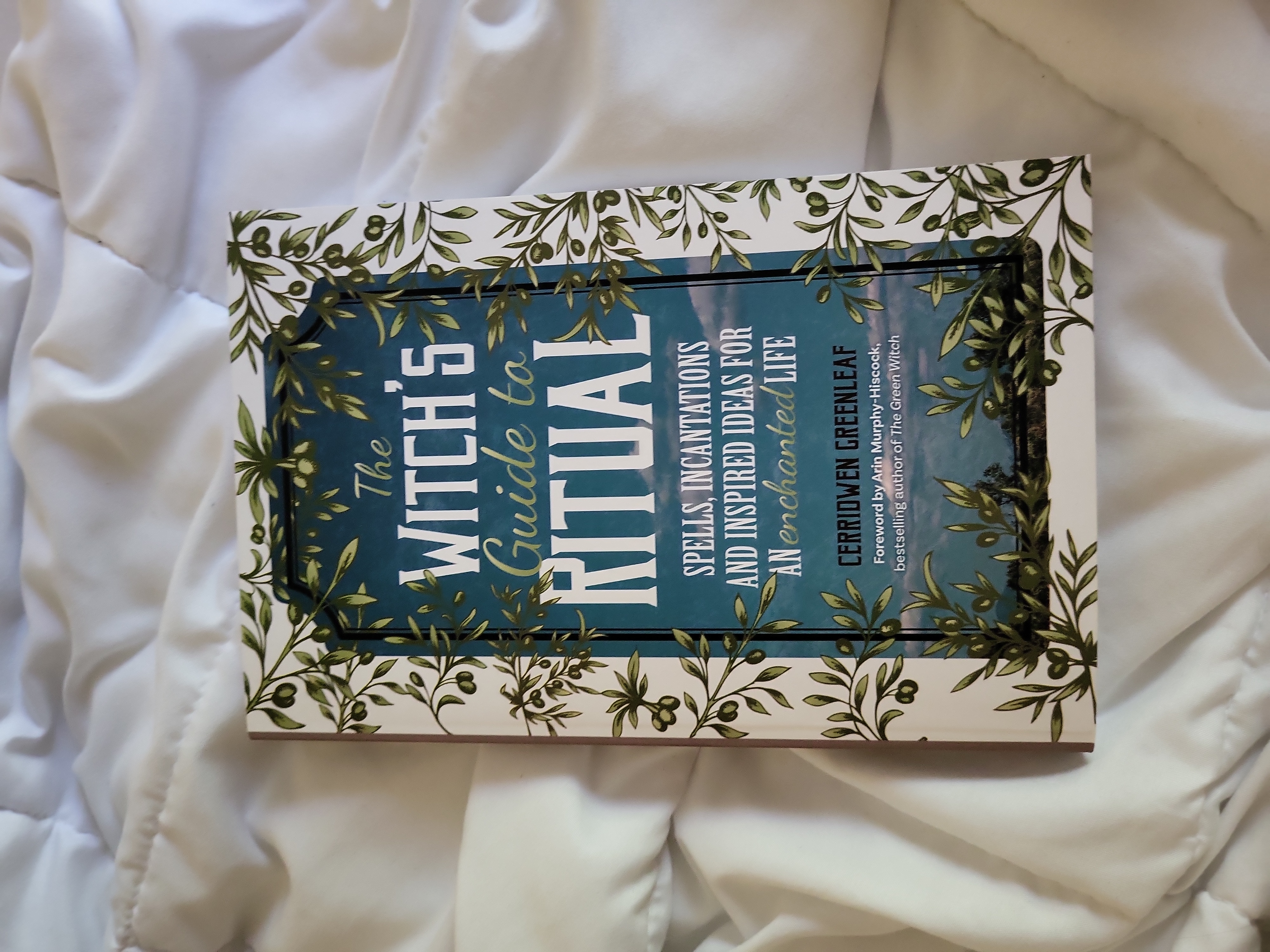 The Witch's Guide to Ritual