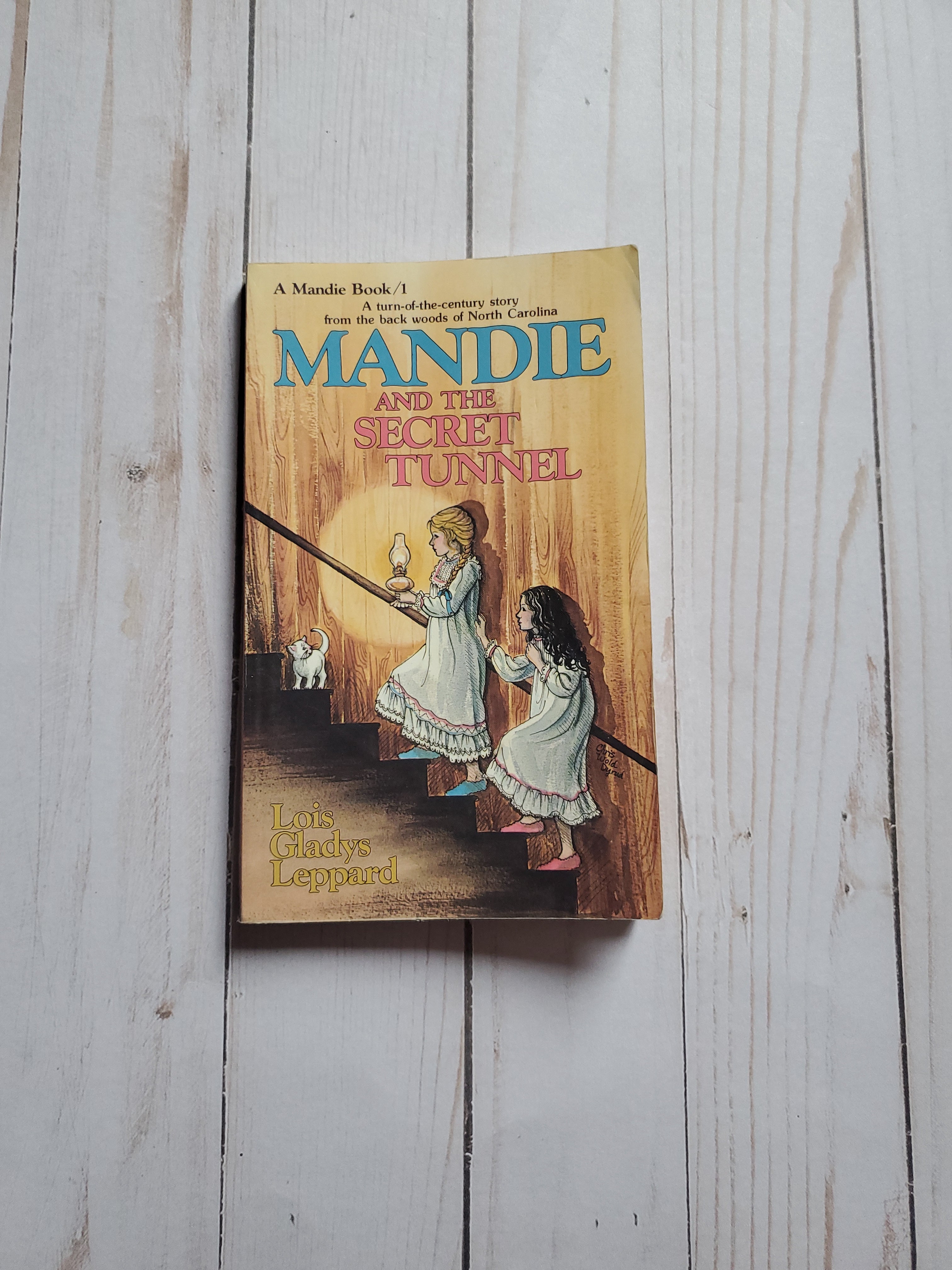 Mandie and the Secret Tunnel